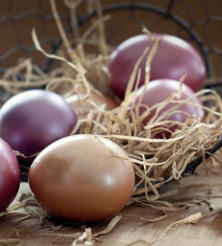 easter eggs, basket, color, colored, egg, easter, custom, nature, spring, colorful, painting, customs, eastercollection, brown spring, brown painting, brown egg, brown eggs, brown paint, brown color
